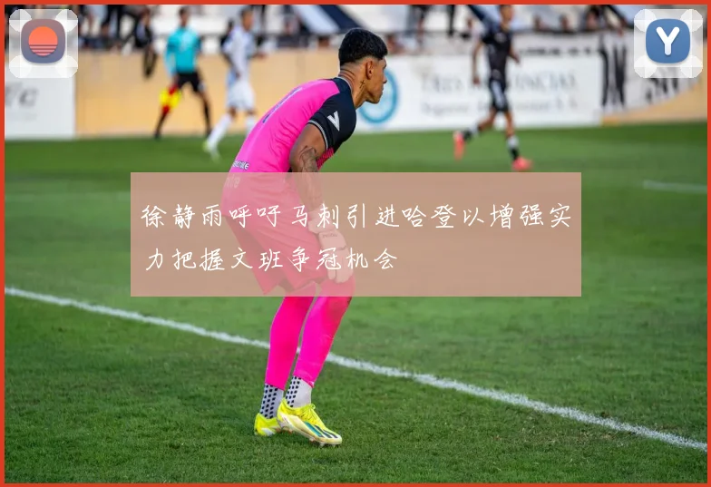 徐静雨呼吁马刺引进哈登以增强实力把握文班争冠机会