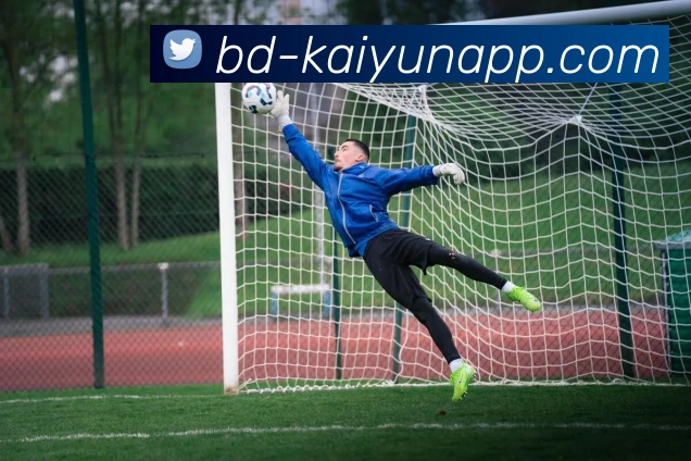 开云体育平台生态图