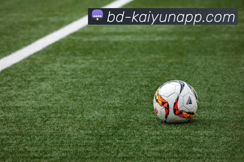 开云体育APP 封面图